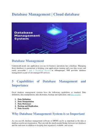 Database Management Software Service
