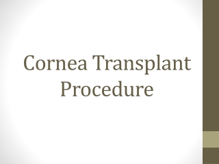 Cornea Transplant Procedure