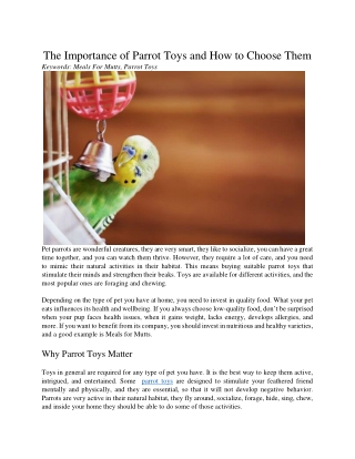 The Importance of Parrot Toys and How to Choose Them