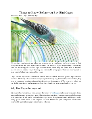 Things to Know Before you Buy Bird Cages