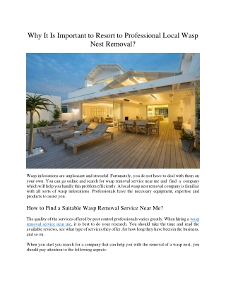 Why It Is Important to Resort to Professional Local Wasp Nest Removal