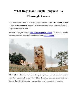 What Dogs Have Purple Tongues? – A Thorough Answer
