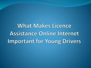 What Makes Licence Assistance Online Internet Important for Young Drivers
