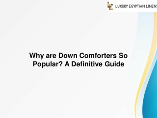 Why are Down Comforters So Popular A Definitive Guide