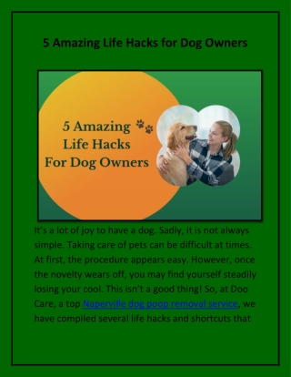 5 Life Hacks for Dog Owners