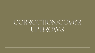 CorrectionCover Up Brows - PPT