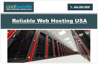 Reliable Web Hosting USA