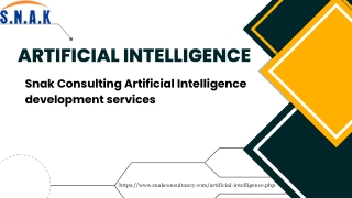 Snak Consulting Artificial Intelligence development services