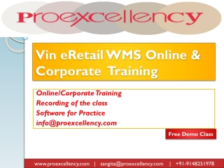 Proexcellency provides Vin eRetail WMS Online Training.