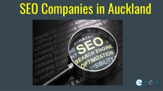 SEO Companies in Auckland