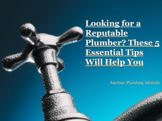 Looking for a Reputable Plumber? These 5 Essential Tips Will Help You