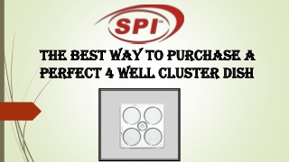The Best Way to Purchase a Perfect 4 Well Cluster Dish