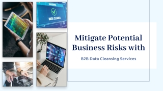 Mitigate Potential Business Risks with B2B Data Cleansing Services