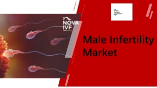 Male Infertility Market Size PPT