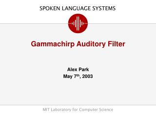 Gammachirp Auditory Filter