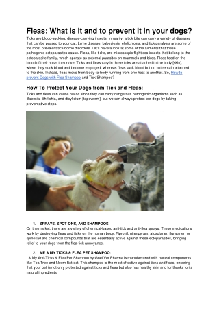 Fleas_ What is it and to prevent it in your dogs