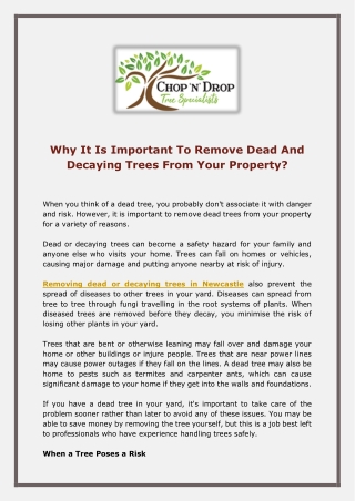 Why It Is Important To Remove Dead And Decaying Trees From Your Property - Chop N Drop Tree Specialists