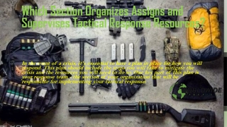 Which section organizes assigns and supervises tactical response resources?