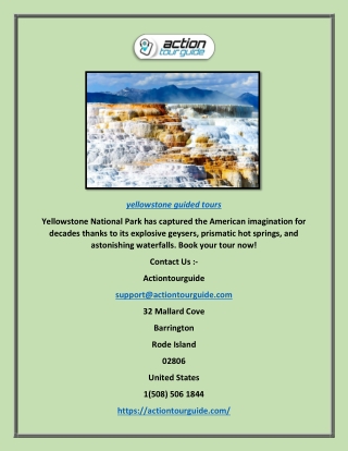Yellowstone Guided Tours | Actiontourguide.com