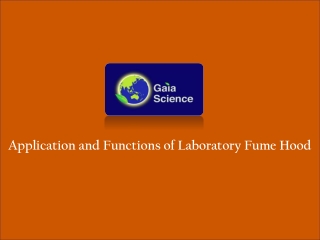 Laboratory Fume Hoods Supplier