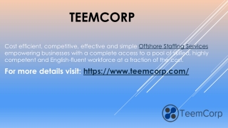 Simple Offshore Staffing Services