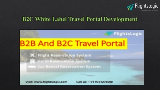 B2C White Label Travel Portal Development