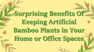 Surprising Benefits Of Keeping Artificial Bamboo Plants in Your Home or Office Spaces