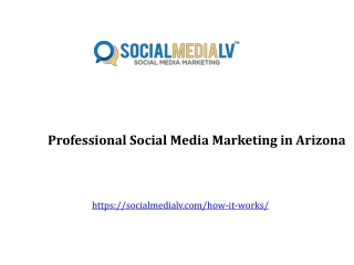 Professional Social Media Marketing in Arizona