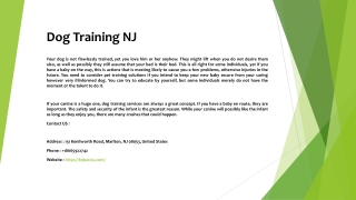 Dog Training NJ