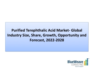 Purified Terephthalic Acid Market Size, Share, Growth