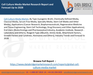 Cell Culture Media Market Research Report and Forecast Up to 2028