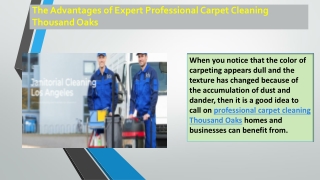 The Advantages of Expert Professional Carpet Cleaning Thousand Oaks