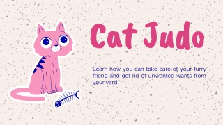 Cat Judo - Best Tips For Cat