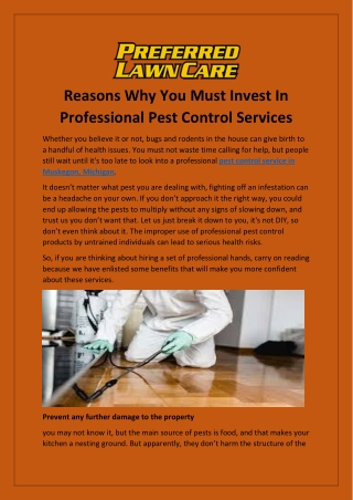 Reasons Why You Must Invest In Professional Pest Control Services