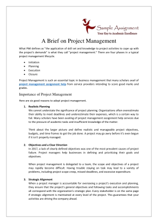 A Brief on Project Management