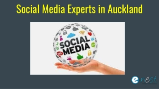 Social Media Experts in Auckland