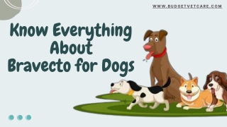Know Everything About Bravecto for Dogs