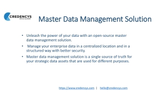 Master Data Management Solution | Credencys