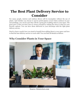 The Best Plant Delivery Service to Consider