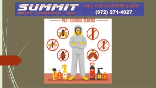 Pest Control Rowlett, TX