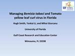 Managing Bemisia tabaci and Tomato yellow leaf curl virus in Florida Hugh Smith, Yankai Li, and Mihai Giurcanu Univer