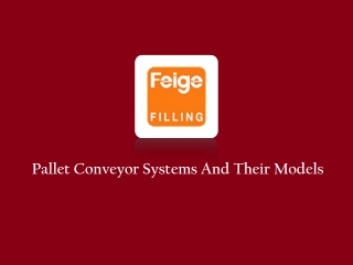Pallet Conveyor Systems Supplier