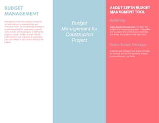 Zepth budget management tool for managing project expenses