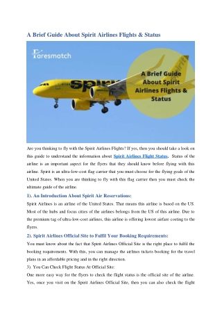 Guide About Spirit Airlines Flights & Status