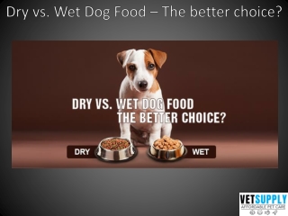 Dry vs. Wet Dog Food – The better choice | VetSupply