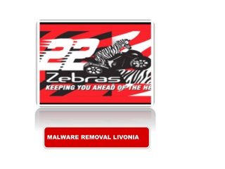 MALWARE REMOVAL LIVONIA