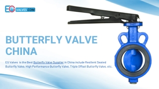 Best China Butterfly Valves Supplier & Manufacturers