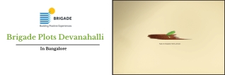 Brigade Plots Devanahalli Bangalore | PDF