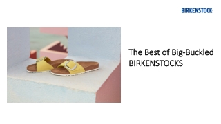 The Best of Big-Buckled BIRKENSTOCKS | Arizona & Gizeh