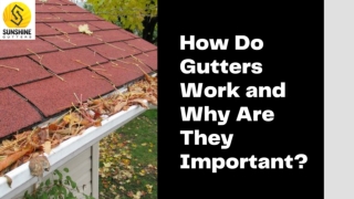 How Do Gutters Work and Why Are They Important